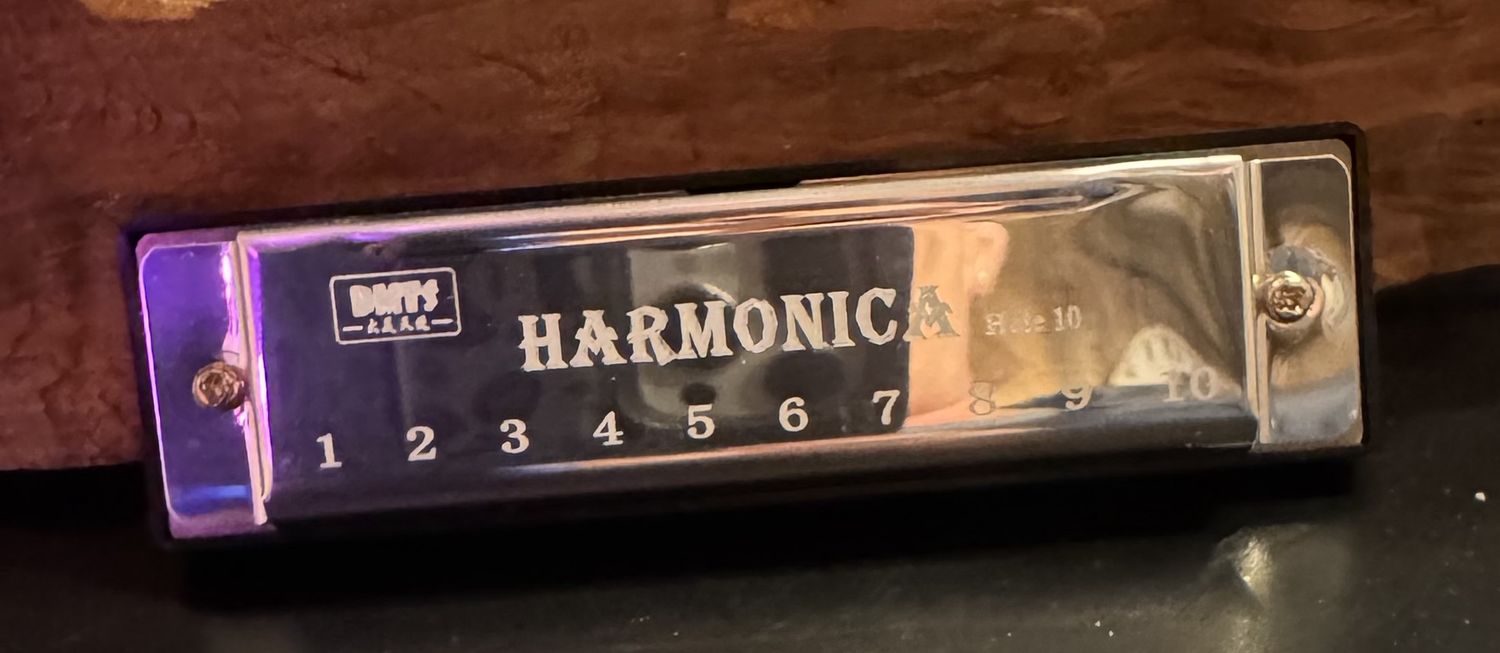 10-Hole Diatonic Harmonica – Beginner Music Instrument