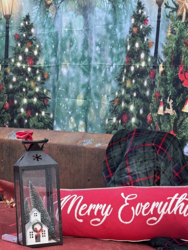 Vintage Farm Truck Christmas Photo Spot | LynnDare Farms Lillington NC