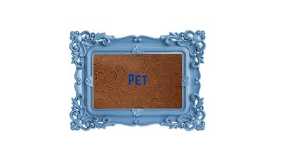 Pet
