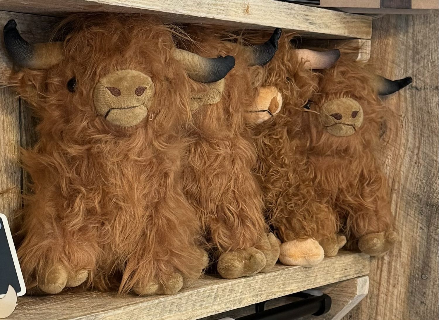 Highland Cow Plush Adoption Kit with Certificate, Carrier &amp; Accessories-Customizable Gift Set, Style: Cow w/ Cow Bell