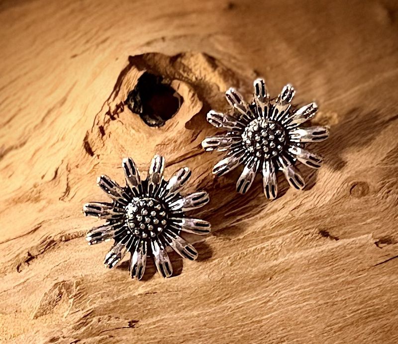 Silver-Tone Sunburst Stud Earrings | Western Fashion Jewelry | LynnDare Farms