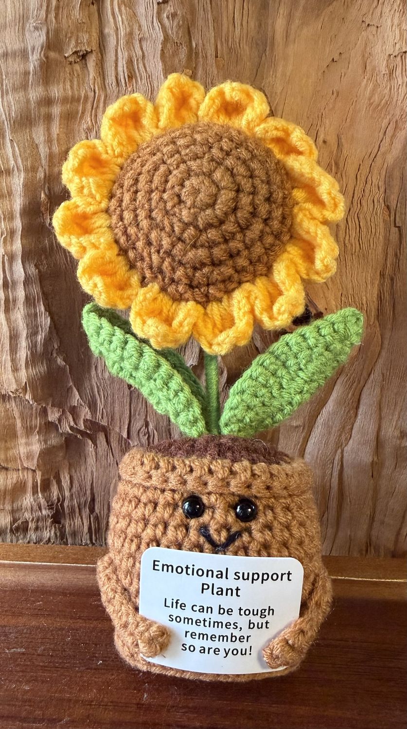 Emotional Support Plant Sunflower | Encouragement Gift | Blue Velvet Barn Gift Boutique
