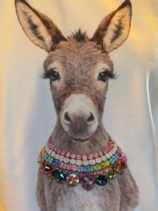 Jeweled Donkey Sweatshirt