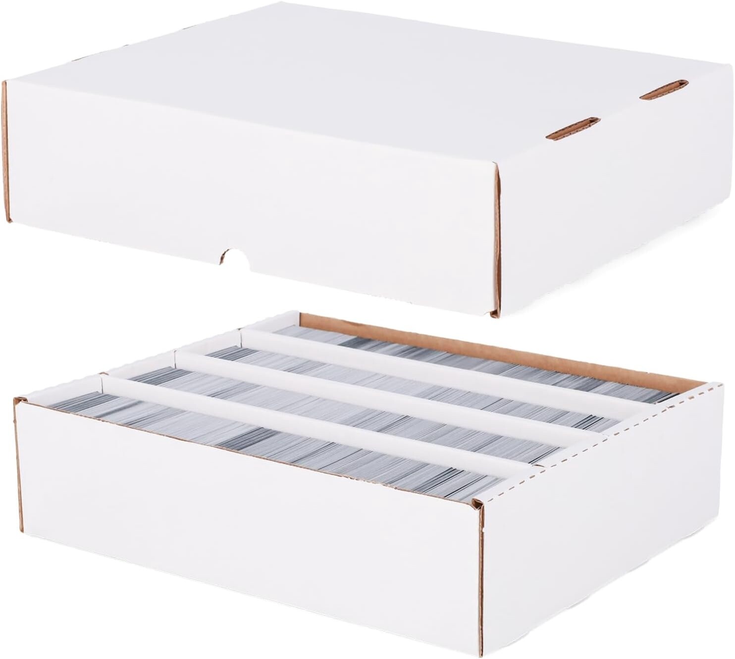 BCW 3200 Monster Storage Box (4 row)