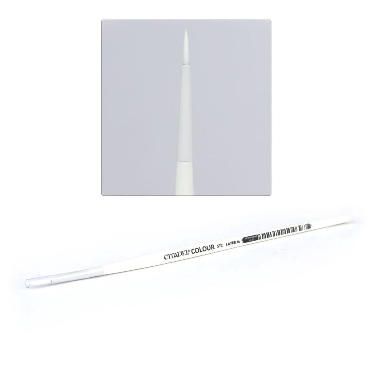 Citadel Brush: Layer - Medium