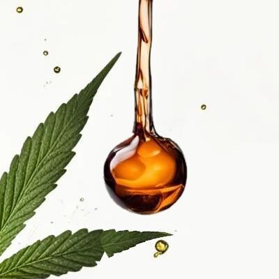 Cannabis Extracts