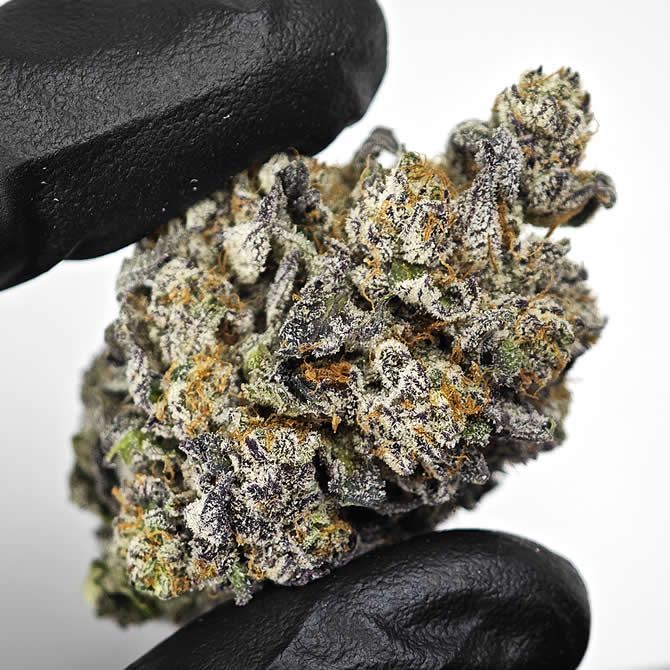 Grape Jubilee - Premium Organic