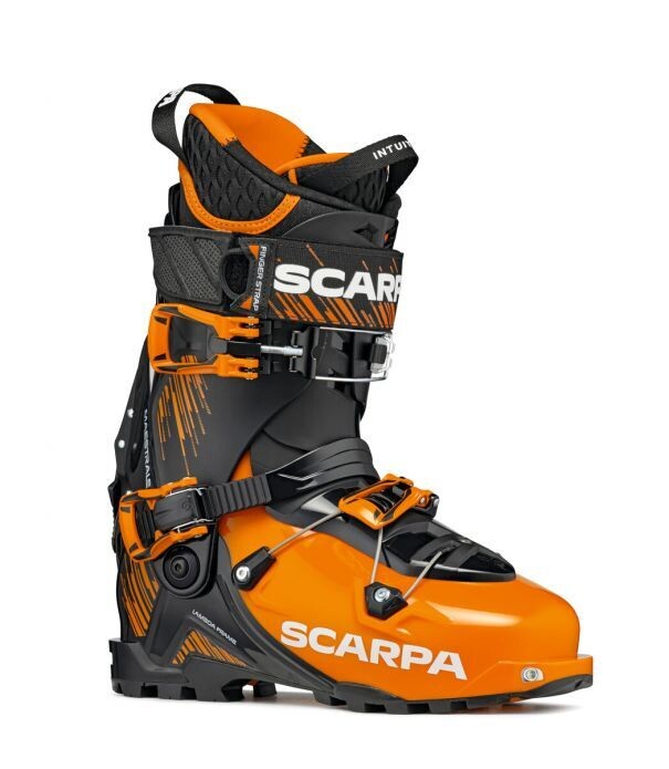 Scarpa Maestrale (2021)