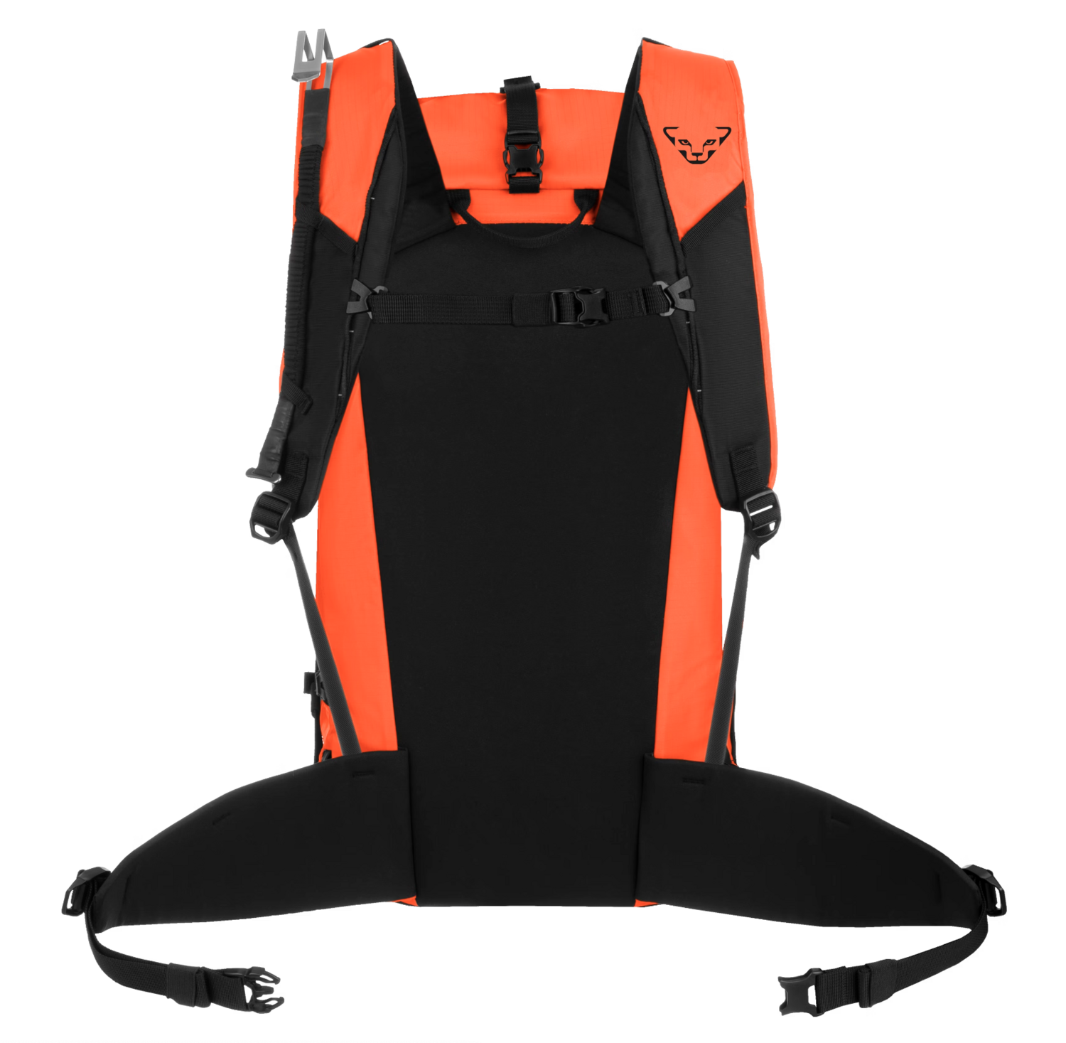 Dynafit Expedition 36 Backpack