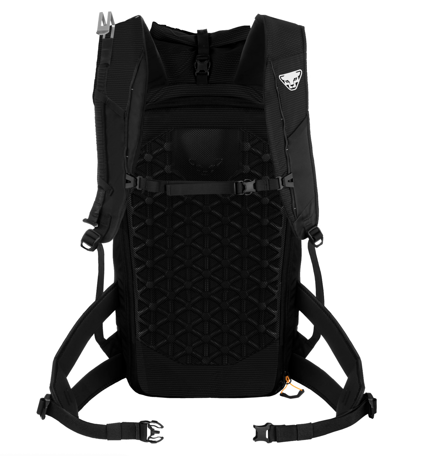 Dynafit Radical 30+ Backpack
