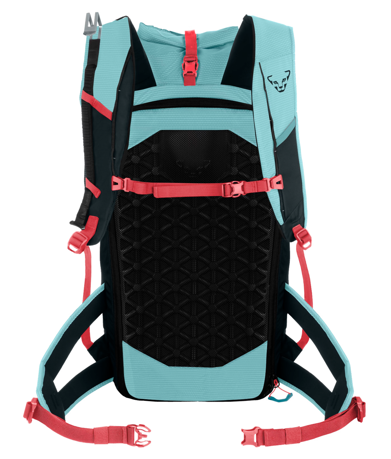Dynafit Radical 30+ Backpack W
