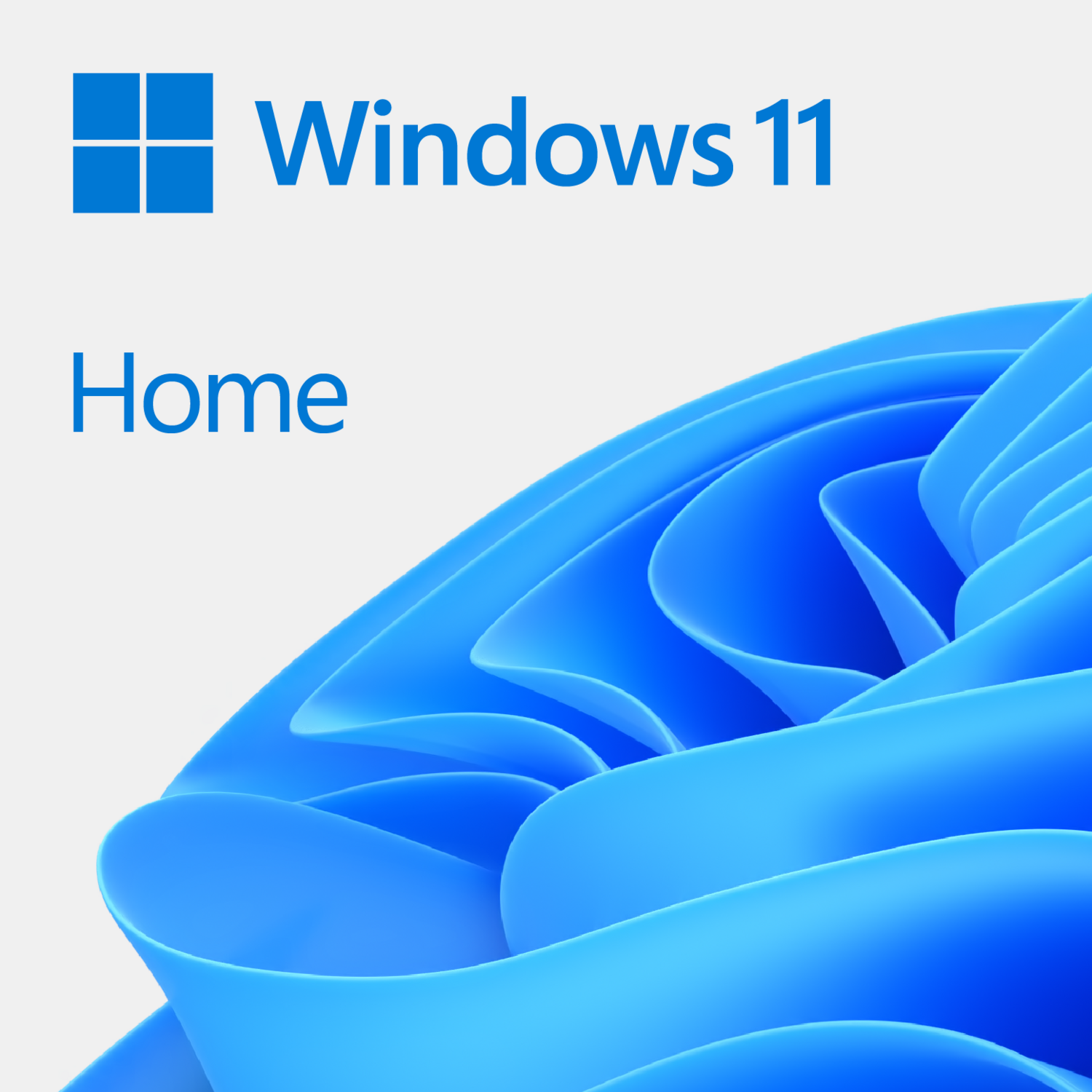 Licencia de Microsoft
Windows 11 Home