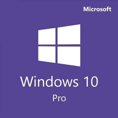 Microsoft Windows 10 Pro OEM (Activado sin actualizaciones)