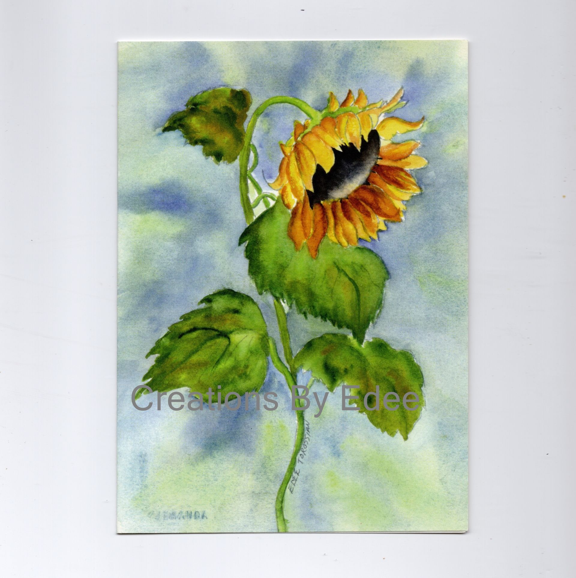 Nodding Sunflower