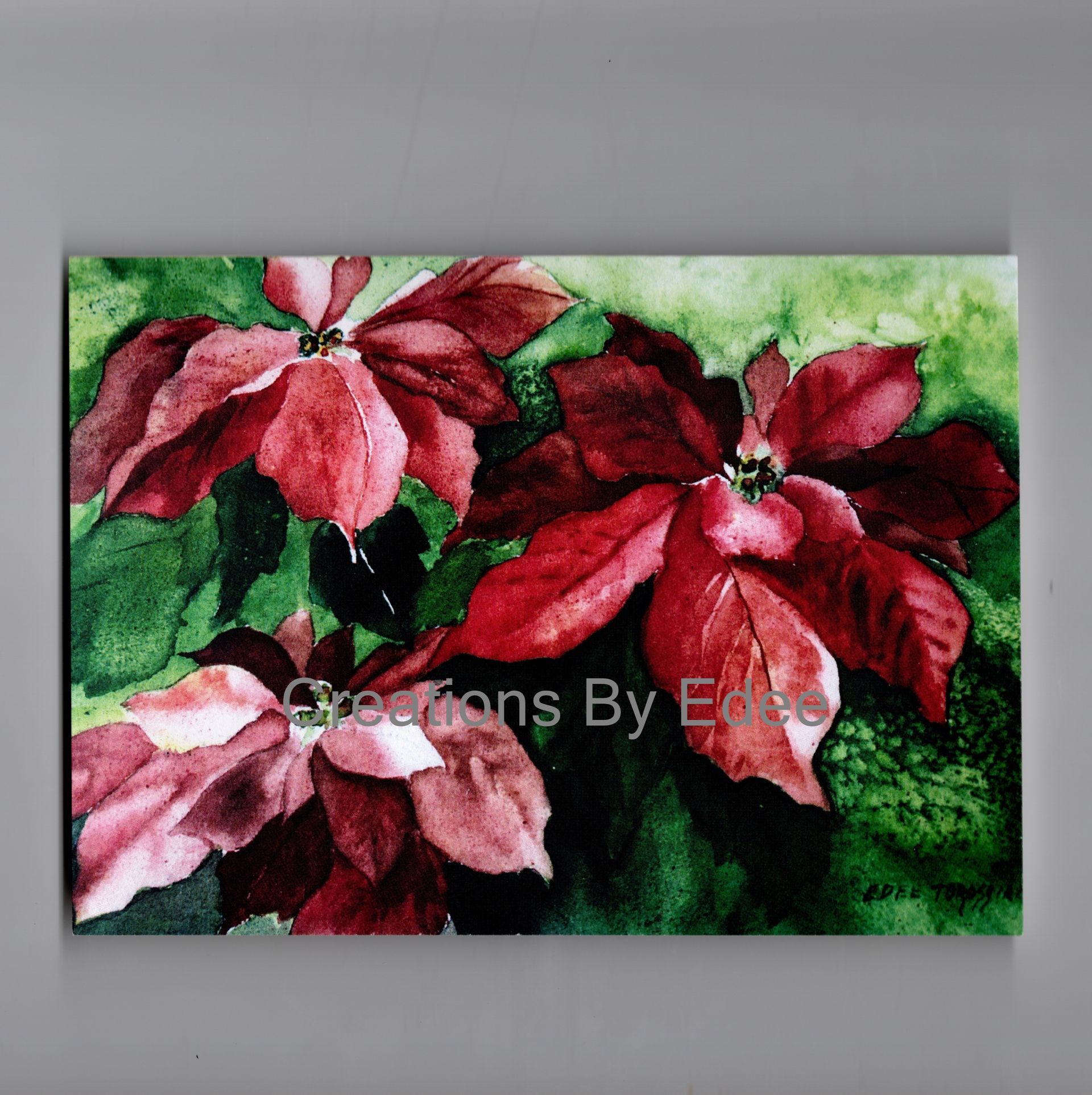 Poinsettia