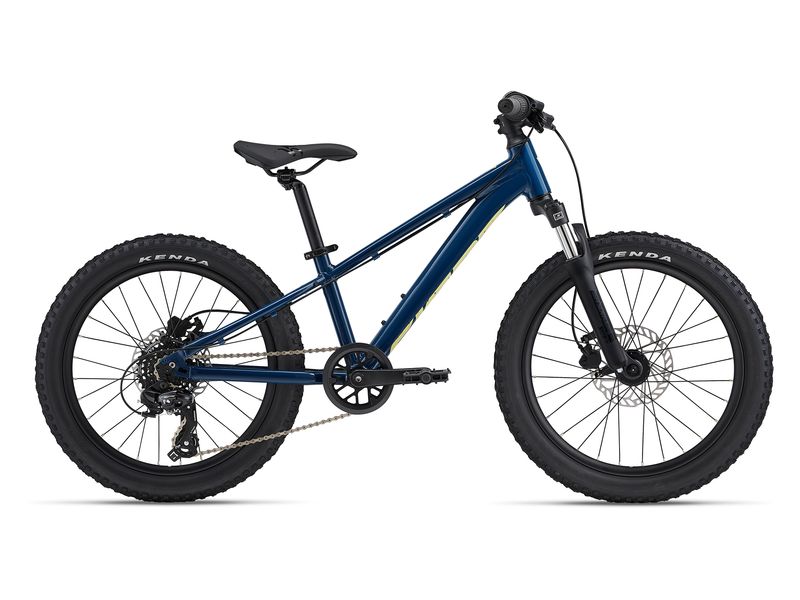 25 STP 20 FS (Giant) OSFM Blue Palace