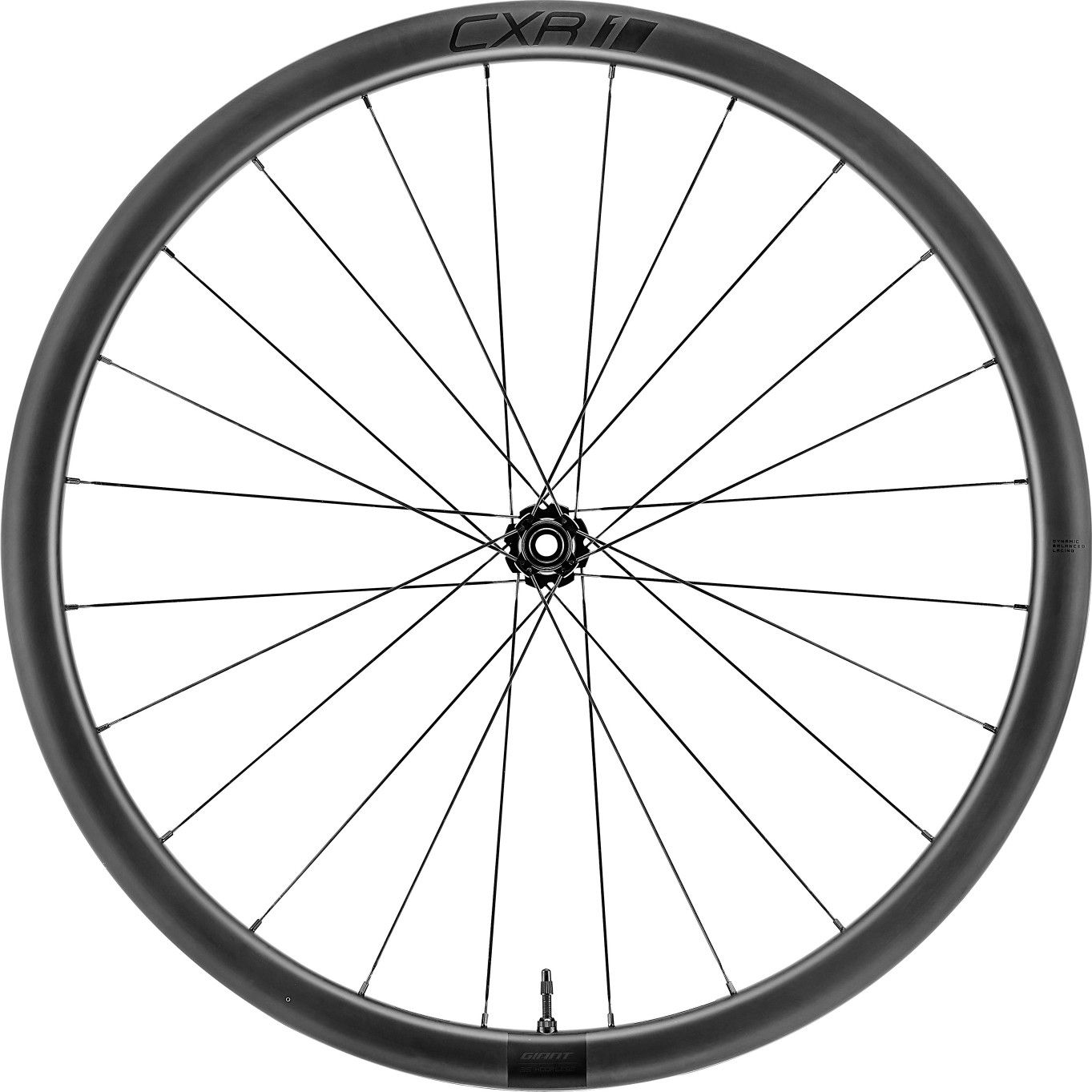CXR 1 - Front Wheel 100x12 Thru Axle Front