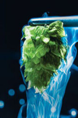Cascade Cryo Hop Pellets - 1 oz