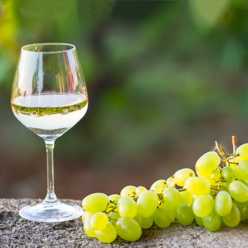 Chardonnay Fresh Grapes (36 lb Box)