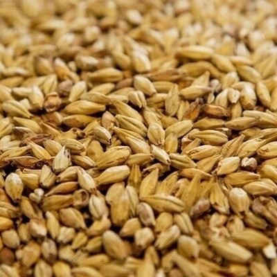 Sladovny Soufflet CR Czeck Pilsen Malt (Czech) per lb