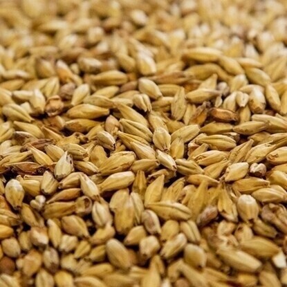 Best Malz Pilsner Malt per lb