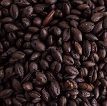 Briess Black Barley per lb