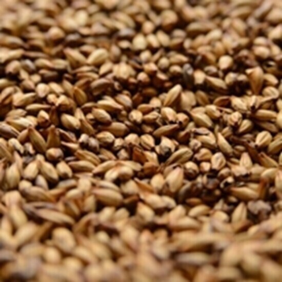 Briess Caramel Vienne 20L per lb