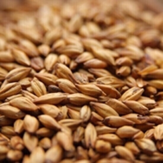 Briess Extra Special Malt per lb