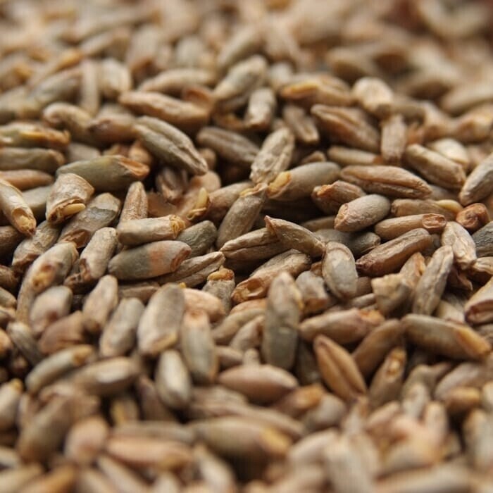 Canada Malting Century Rye Malt per lb