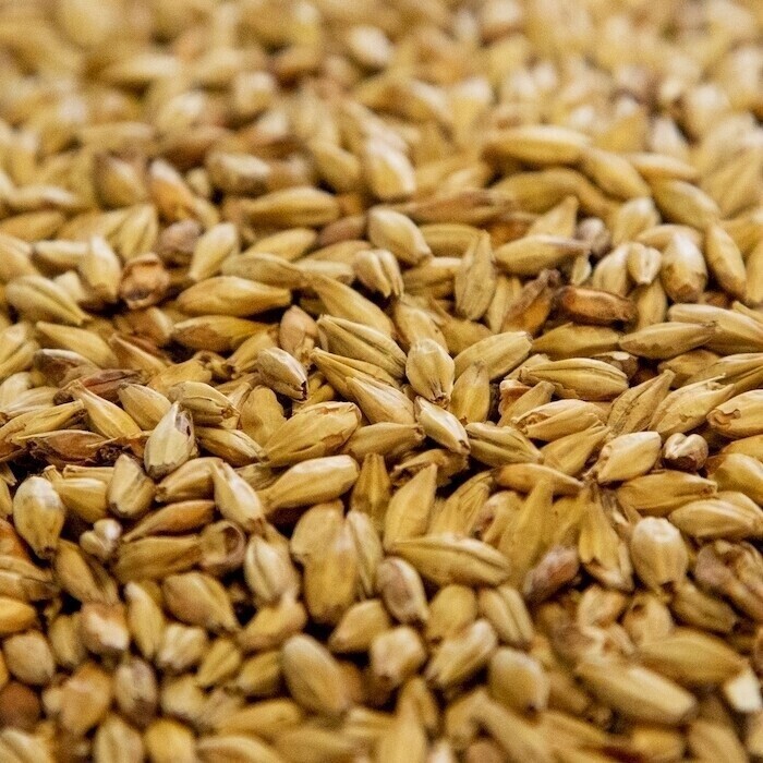 Dingemans Aromatic Malt per lb