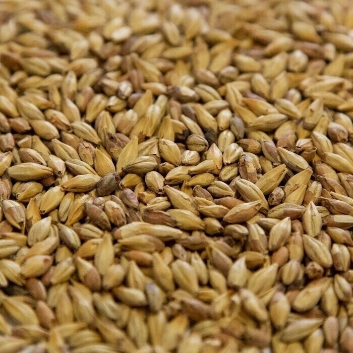 Dingemans Biscuit Malt per lb