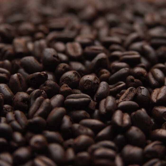 MFB Chocolate Malt per lb