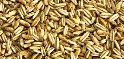 Simpsons Golden Naked Oats Malt per lb