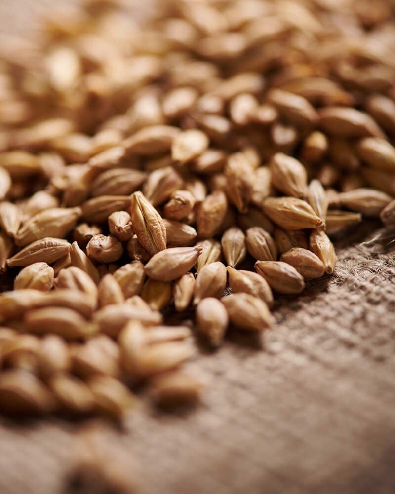 Weyermann Acidulated Malt per lb