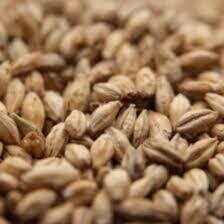 Weyermann Barke Munich Malt per lb