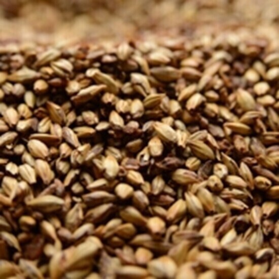 Weyermann CaraMunich III Malt per lb
