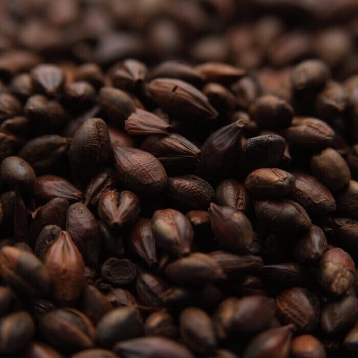 Weyermann Chocolate Rye per lb