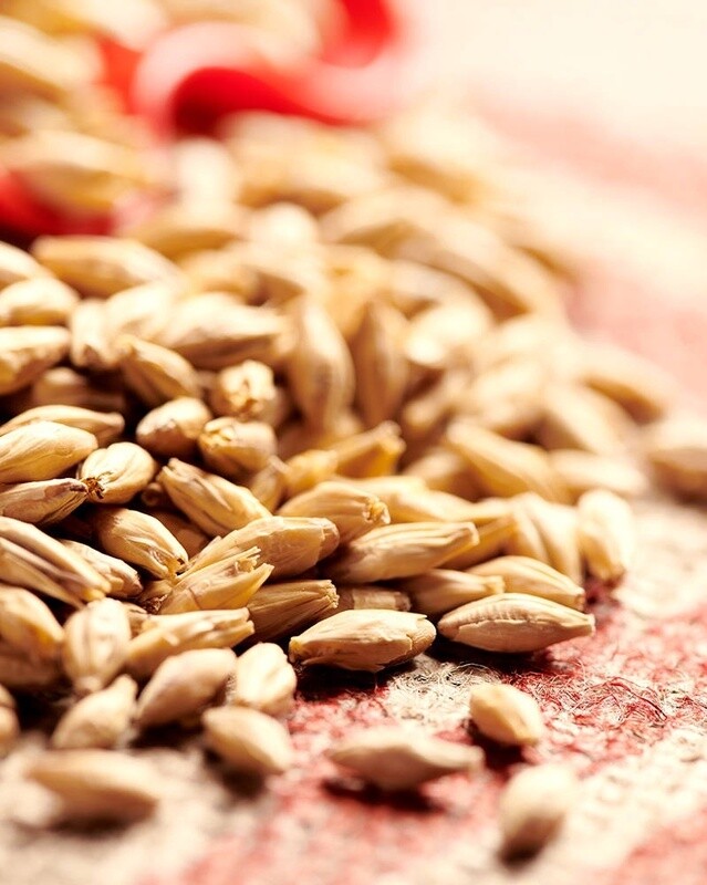 Weyermann | Extra Pale Pilsner Malt | per lb