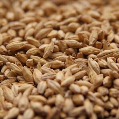 Weyermann Munich I Malt per lb