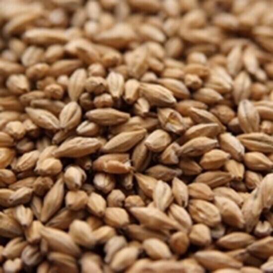 Weyermann Floor Malted Bohemian Pilsner per lb