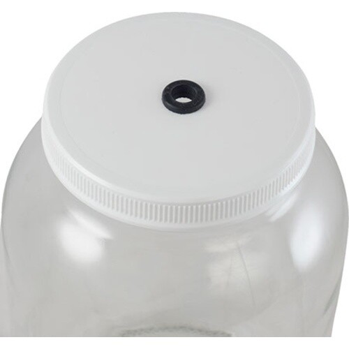 1 Gallon Glass Jar Fermenter Kit
