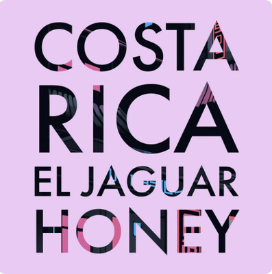 Costa Rica El Jaguar Honey