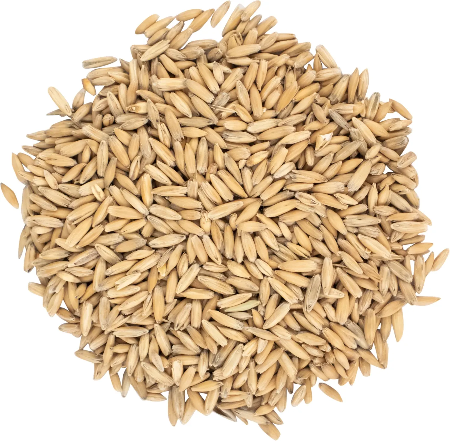 Canada Malting Oat Malt | per lb