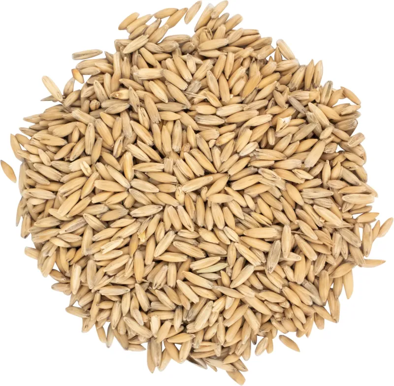 Canada Malting Oat Malt | per lb