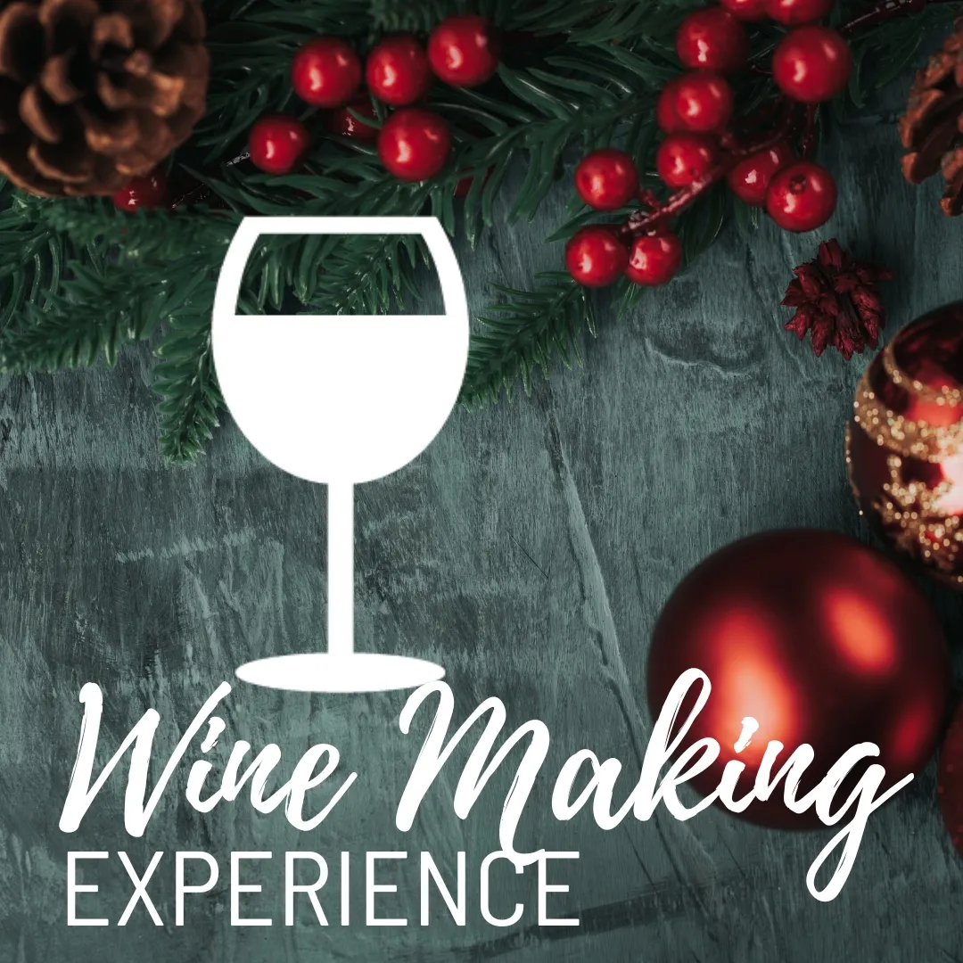 Wine Making Class Experience