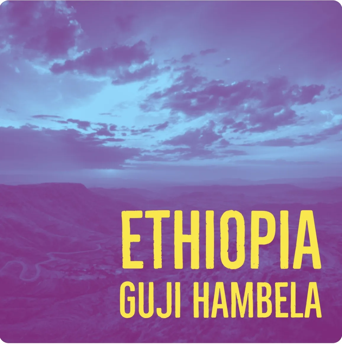 Ethiopia Guji Hambela - Coffee Beans - 1 LB