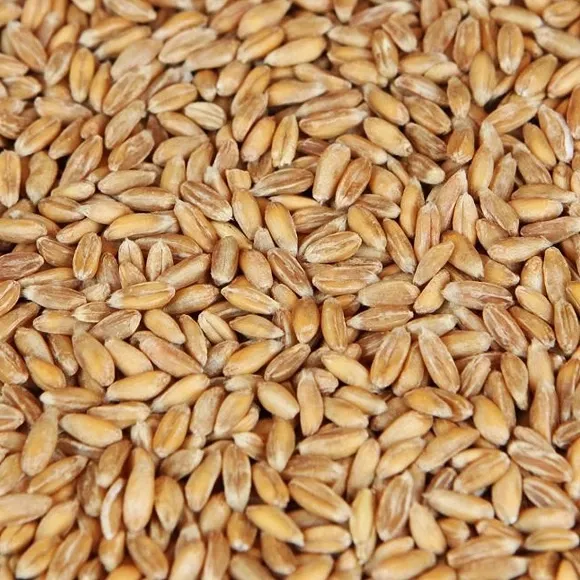Weyermann Spelt Malt per lb
