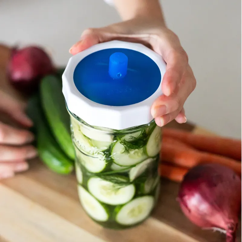 Mason Jar Fermentation Kit With Jar