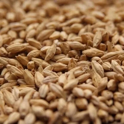Weyermann Pilsner Malt per lb