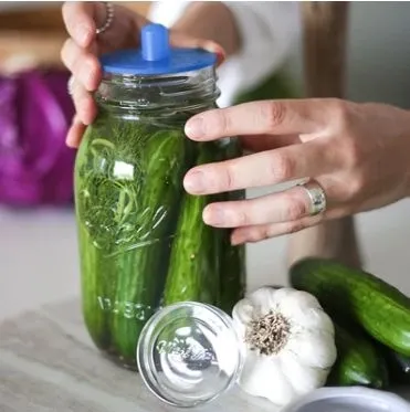 Intro to Fermentable Foods | March 15th | 10 am - 1 pm